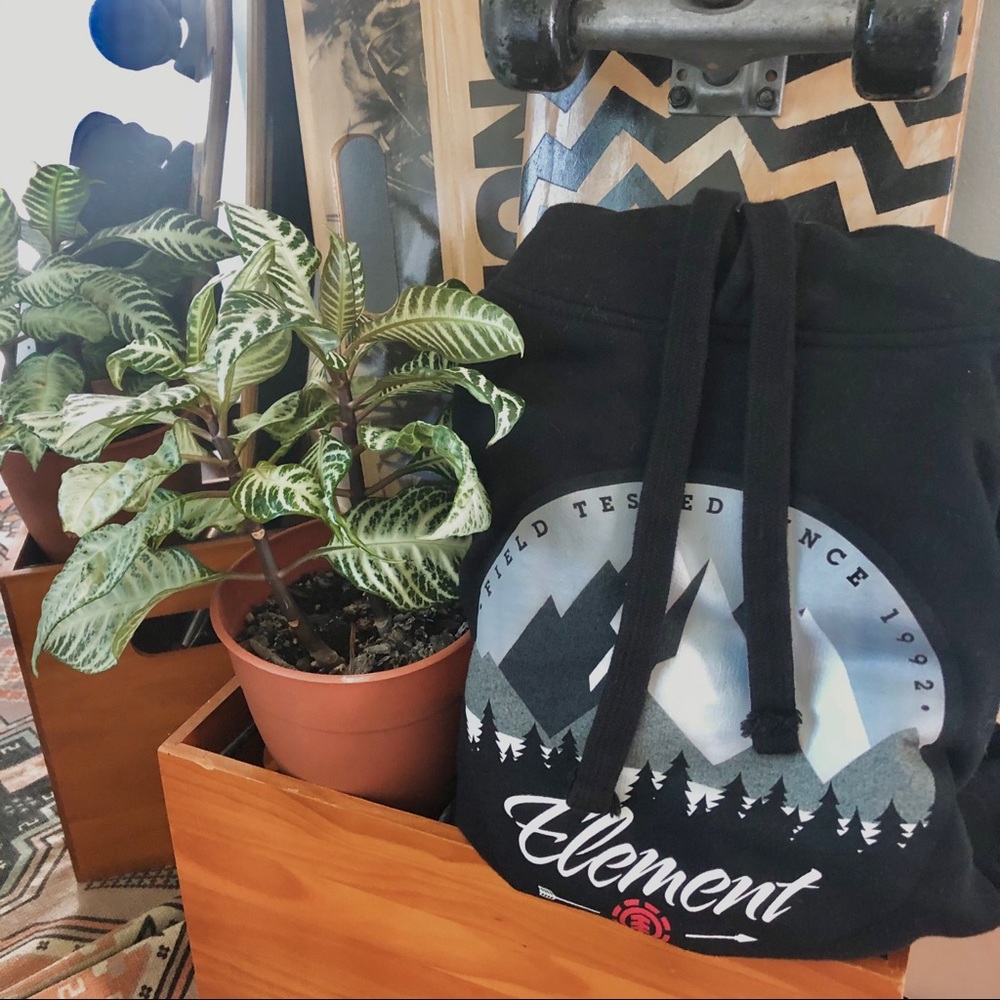 Element, Black hoodie, sweatshirt, shorts, skater